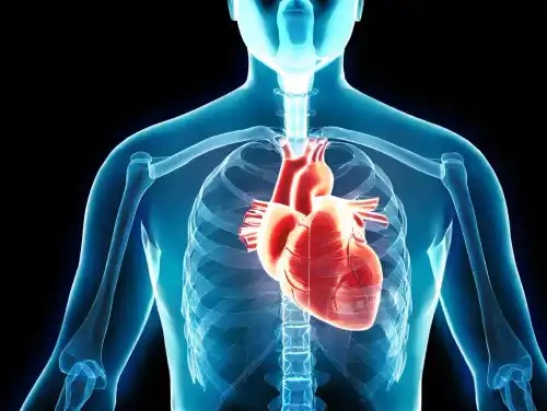 7 Early Signs Your Heart Shouldn't Ignore