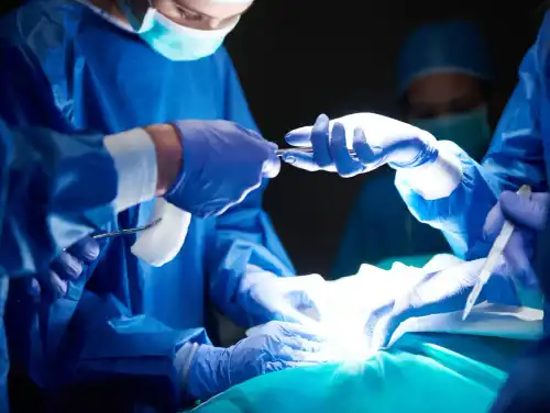 Organ Transplant Myths You Need to Stop Believing