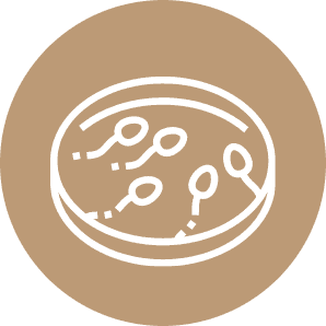 In-Vitro Fertilization (IVF)