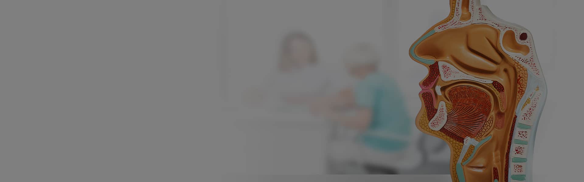 Our Doctors Banner
