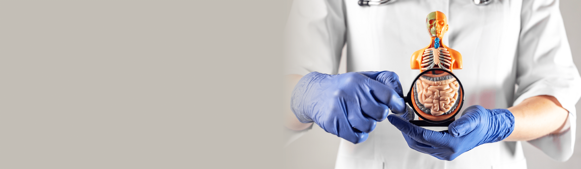 Our Doctors Banner