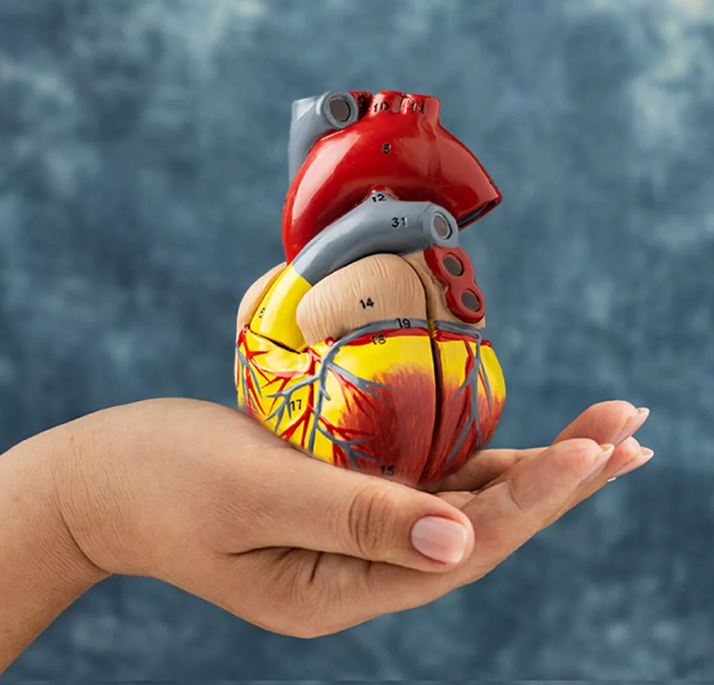 Heart Specialists Hospital in chennai | MGM healthcare